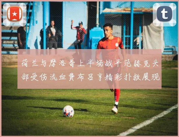 荷兰与摩洛哥上半场战平范赫克头部受伤流血费布吕亨精彩扑救展现实力